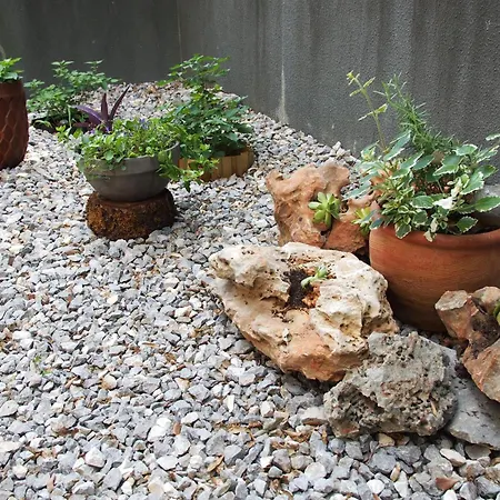 شقة Charming Terrace