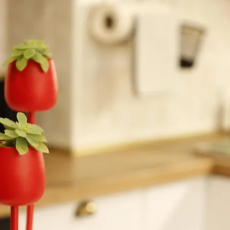 شقة Charming Terrace