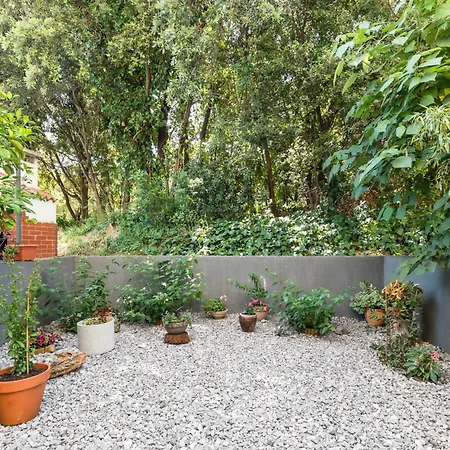 Charming Terrace Apartman *